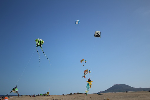 Kite festival taking place in Fuerteventura Island, Canary Islands.