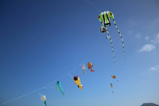 istock Kite festival 1440807154