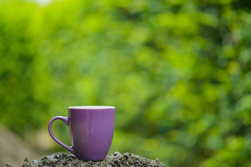 close-up of purple cup on a rock in the open air