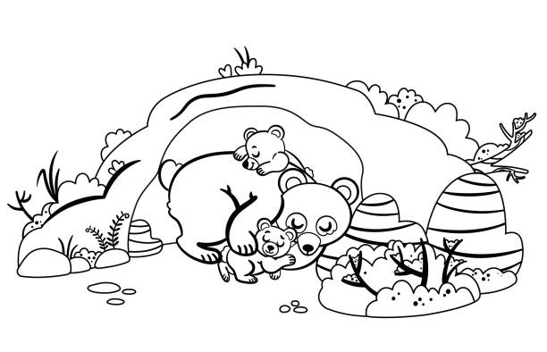 семья черно-белых медведей - winter cave bear hibernation stock illustrations