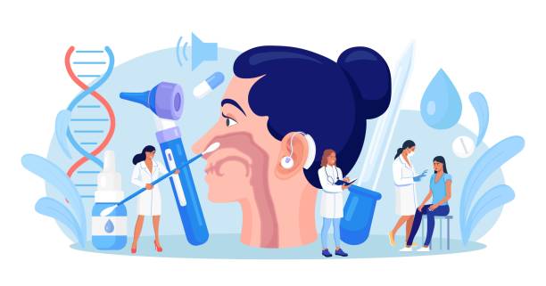 Otolaryngology concept. ENT doctor treating diseases of ear, nose, throat and neck. Otolaryngologist with medical instrument examines patient. Otoscopy procedure. Nasopharynx, sinuses, ear specula. Otolaryngology concept. ENT doctor treating diseases of ear, nose, throat and neck. Otolaryngologist with medical instrument examines patient. Otoscopy procedure. Nasopharynx, sinuses, ear specula. nasal spray stock illustrations