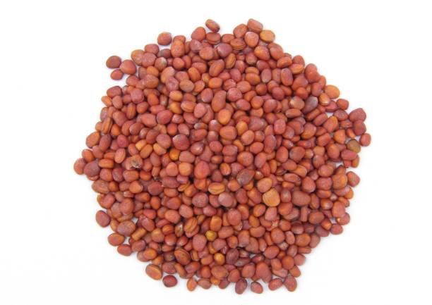 istock Radish seeds isolated on white background 1440813839