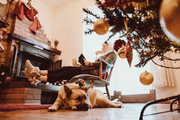 istock Cozy winter holiday with my pet 1440817799