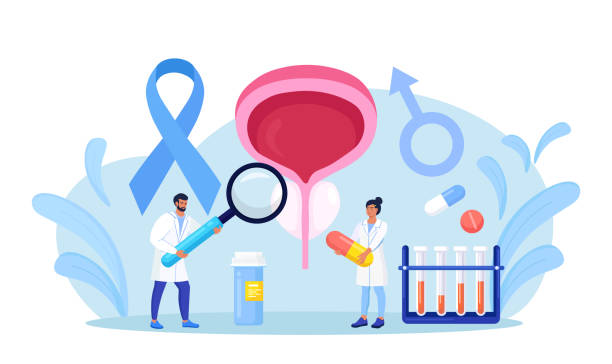 ilustrações de stock, clip art, desenhos animados e ícones de prostate cancer. urologist examines male genitourinary system. diagnosis of prostatitis or sexual dysfunction. andrologist engaged in prevention and treatment of prostate gland diseases. vector design - erectile dysfunction