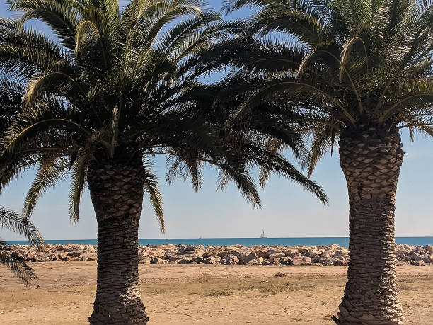 istock Costa Daurada, typical holidays place from Spain 1440822284