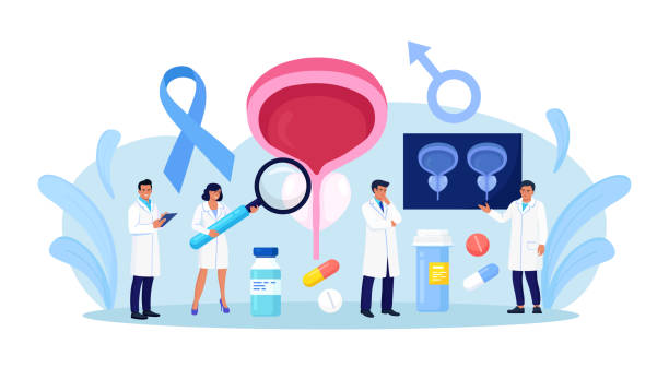 ilustrações de stock, clip art, desenhos animados e ícones de prostate cancer. urologist examines male genitourinary system. diagnosis of prostatitis or sexual dysfunction. andrologist engaged in prevention and treatment of prostate gland diseases - erectile dysfunction