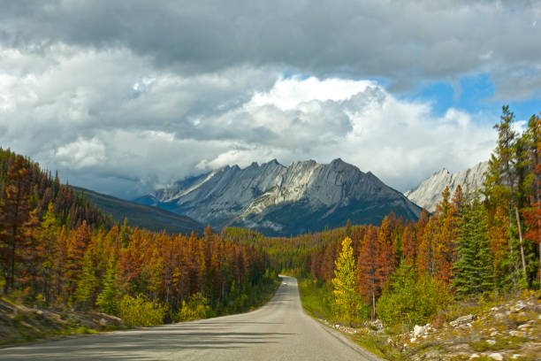 istock Autumn in the mountains 1440822349