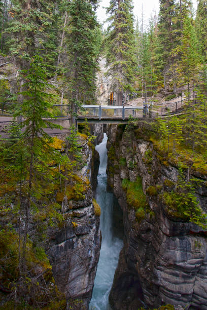 istock Autumn in the mountains 1440822383