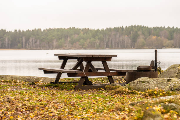 istock Wooden bench and barbeque by a lake.. 1440826349