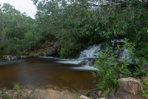 istock Chapada dos Veadeiros National Park. 1440828281