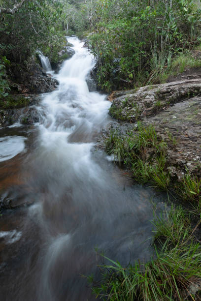 istock Chapada dos Veadeiros National Park. 1440828345