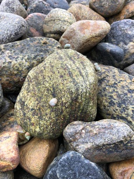 istock Rocks on a beach on the Isle of Lewis, Outer Hebrides, Scotland 1440847113