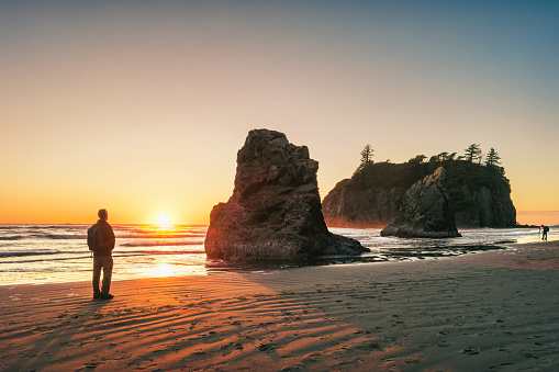Hiker enjoys view with sea stacks on Ruby Beach, Olympic National Park, Washington state, USA at sunset.
