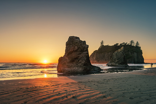 Sea stacks at Ruby Beach, Olympic National Park, Washington state, USA at sunset.