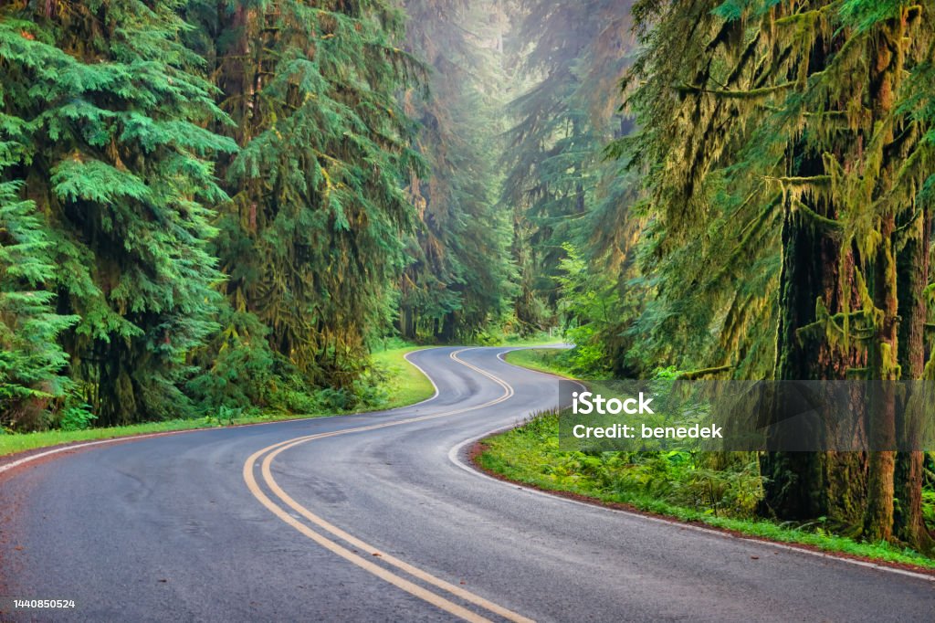 Olympic National Park Winding Sol Duc Road Washington Winding Sol Duc Road in Olympic National Park, Washington state, USA. Road Trip Stock Photo