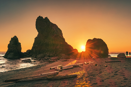 Sea stacks at Ruby Beach, Olympic National Park, Washington state, USA at sunset.