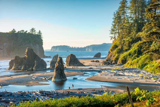 parque nacional olímpico ruby beach washington eua - olympic national park - fotografias e filmes do acervo