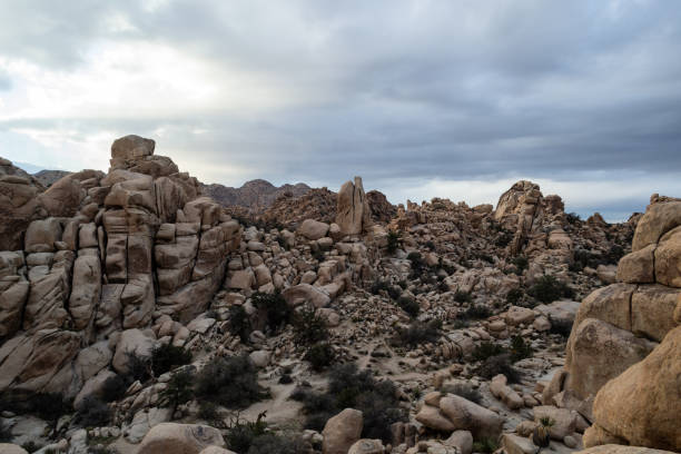 istock Joshua Tree National Park rock formations 1440852731