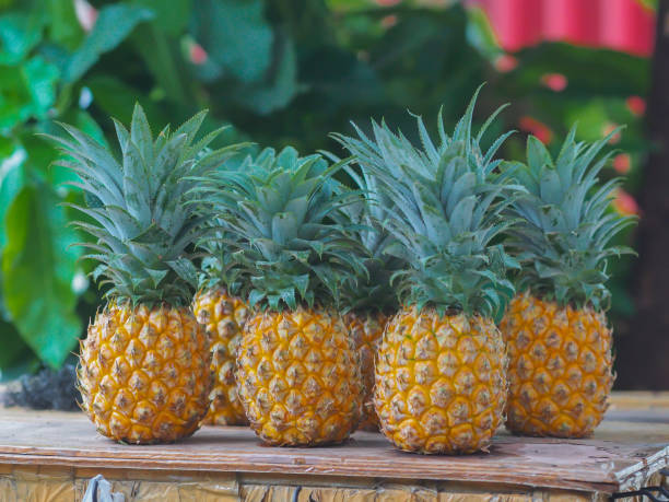 istock Pineapples sell at traditional market 1440858357