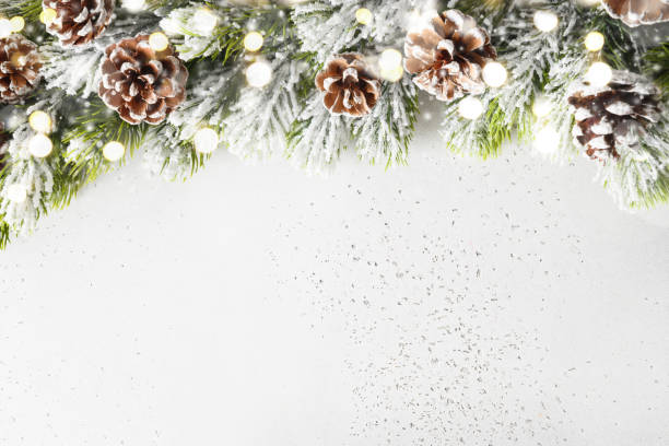 istock Christmas snowy fir tree branches, pine cone on white. Xmas greeting card. 1440861617