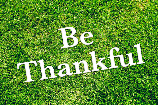top angle view of the phrase be thankful written on grass