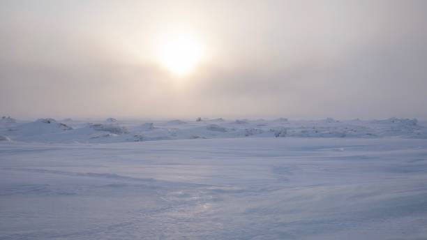 a stark winter sunset in northern canada. - arctic canada landscape manitoba imagens e fotografias de stock
