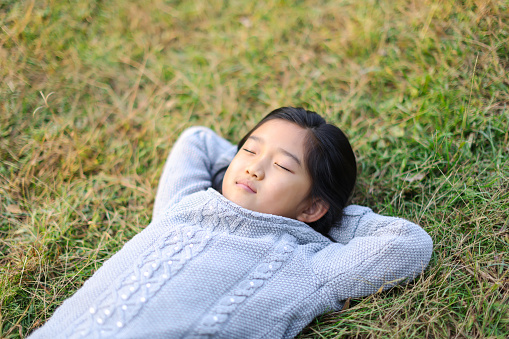 Little Girl Napping on the Grass