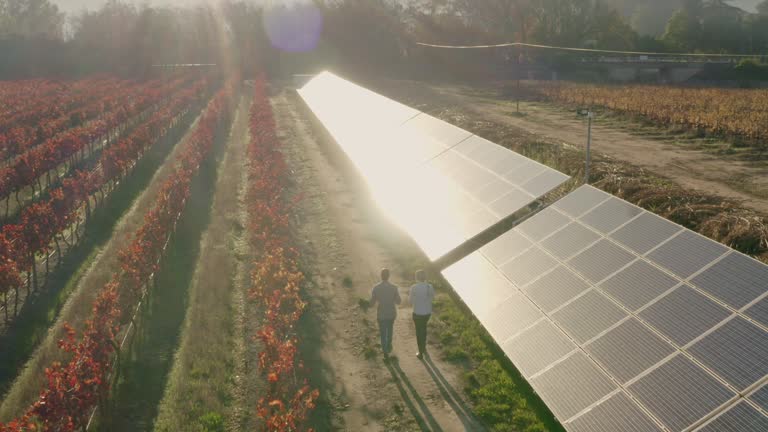 Solar energy, teamwork and farm with a woman and man engineer walking on agricultural land to maintain a solar panel group. Agriculture, collaboration and renewable energy with a farming team