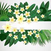 istock Eps10 Floral design background. Plumeria flowers and tropical leaves. 1440866663