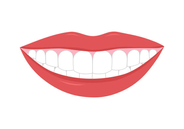 Woman beautiful smile teeth concept vector illustration on white background. vector art illustration