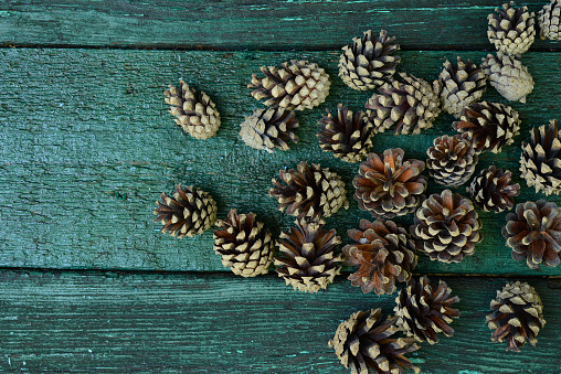 Pine cones on a green wooden background. Heap of Pine cones on a old wooden table