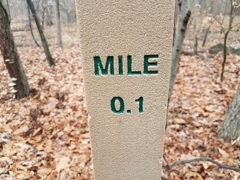0.1 mile marker post in forest or woods with fallen leaves