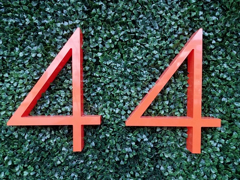 red number 44 on a wall with plant with green leaves