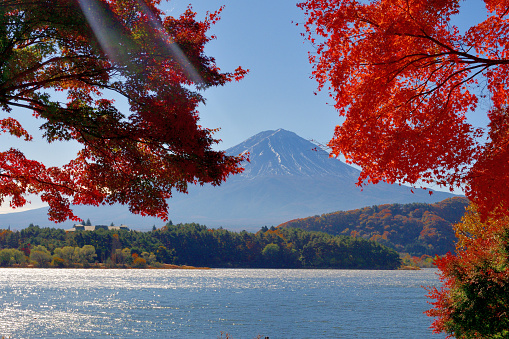 View of Mt. Fuji and beautiful autumn leaf color at Lake Kawaguchi, one of Fuji Five Lakes, located in Fuji-Kawaguchiko,  Yamanashi Prefecture.\nMt. Fuji is slightly snow-capped at its peak.