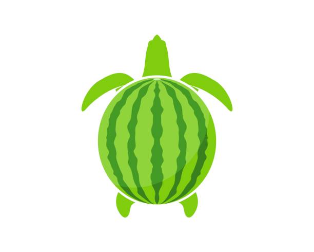 Watermelon Turtle Shell 130+ Watermelon Turtle Stock Illustrations, Royalty-Free Vector ...