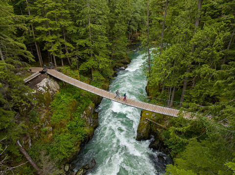 Drone view of a family hiking over a suspension bridge through a lush green coastal forest. Beauty in nature. Environmental conservation backgrounds. Cheakamus River in Whistler, Canada.