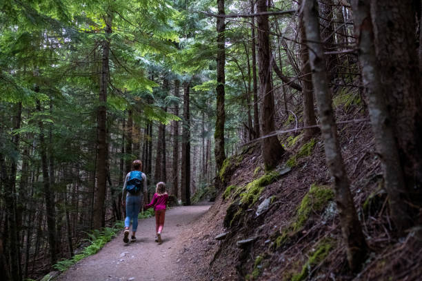istock Mother and daughter hiking through a forest 1440878423
