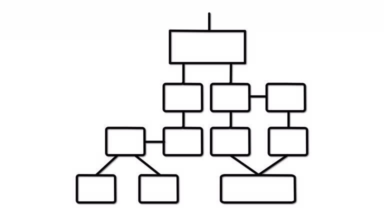 Decision tree, flow chart self drawing animation. Decision tree, flow chart self drawing animation