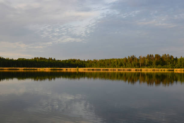 istock Forest lake. Nature landscape. Beautiful lake, calm scene 1440880270