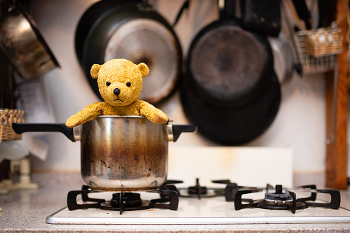 teddy bear in a pot