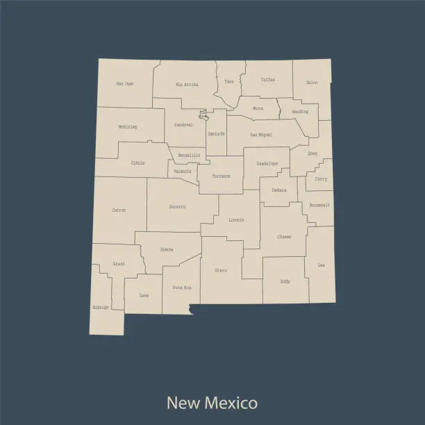 Vector illustration of New Mexico map