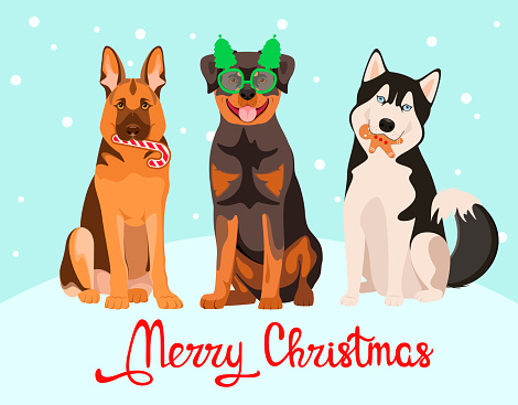 Christmas card with dogs