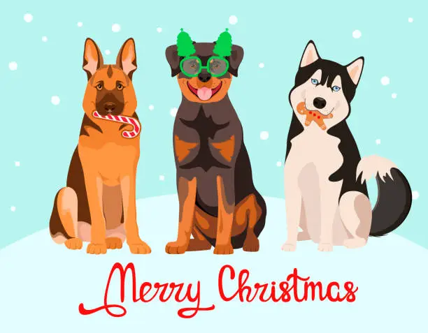 Vector illustration of Christmas card with dogs