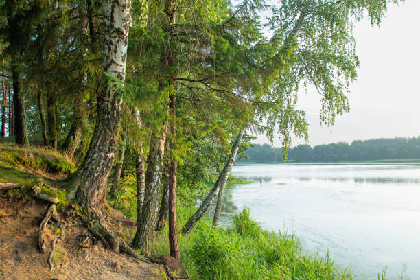 istock Sunrise on the lake 1440893274
