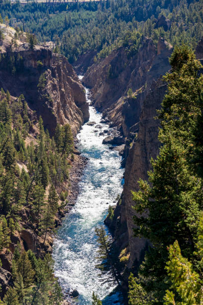 istock River at  Yellowstone national park. USA. 1440893527