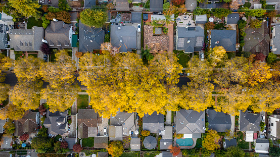 Aerial photo of  Willow Glen neighborhood a suburb of San Jose, CA