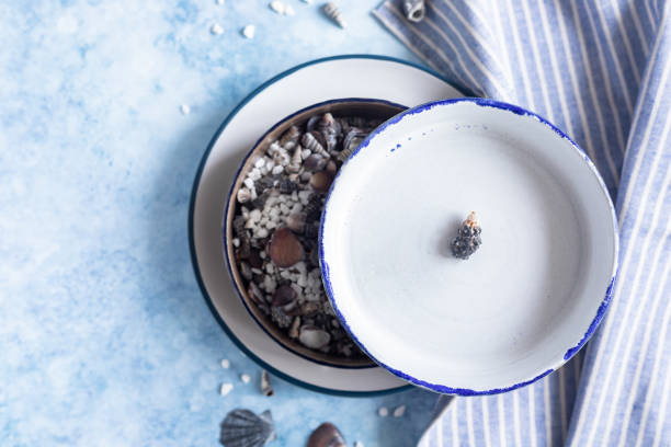 Handmade ceramic white plates with a blue stripe on the edge and empty seashells on blue concrete background. Top view.
