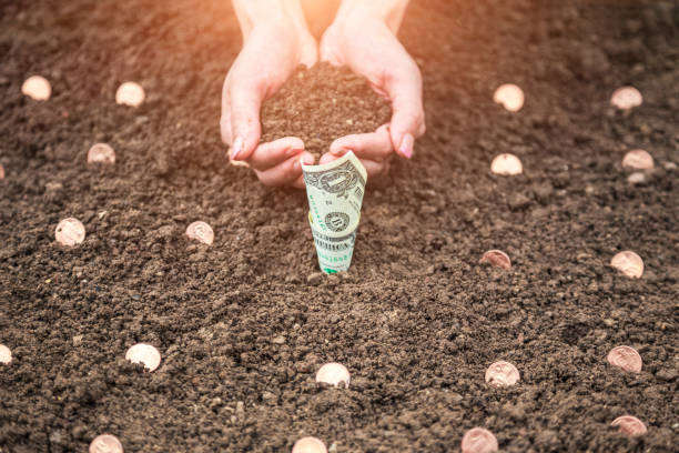 istock bussiness growth concept:Seeding money 1440900172