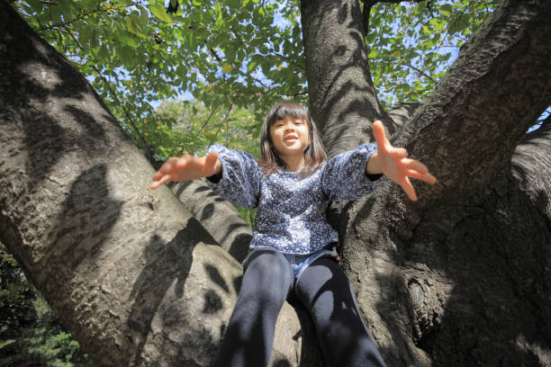 Japanese student girl climbing the tree (8 years old)