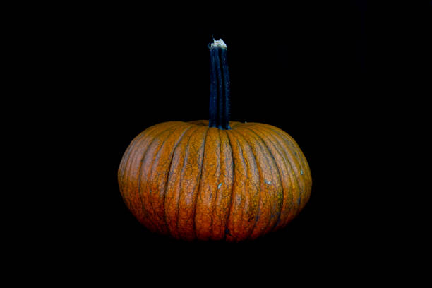 Closeup of orange and yellow striped pumpkin.